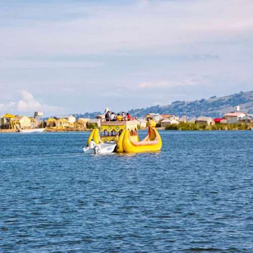 LOS UROS M