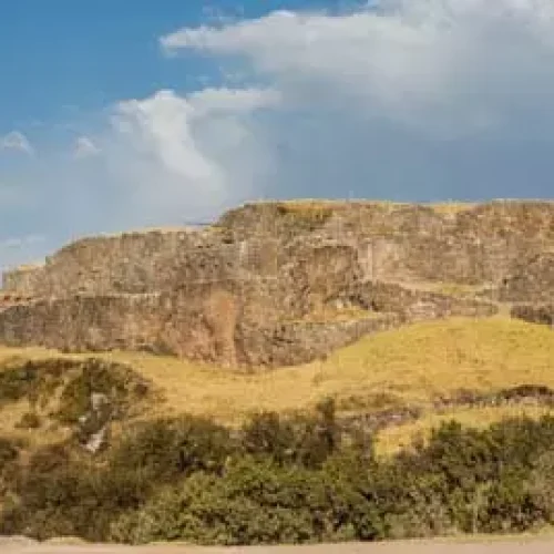 puka